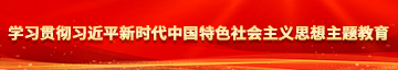 美女插大BB穴三级大片学习贯彻习近平新时代中国特色社会主义思想主题教育